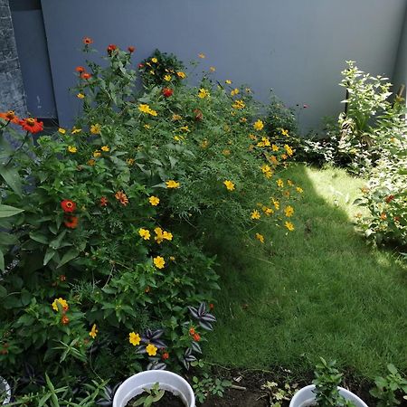 Aashiyana Home Stay بوبال المظهر الخارجي الصورة