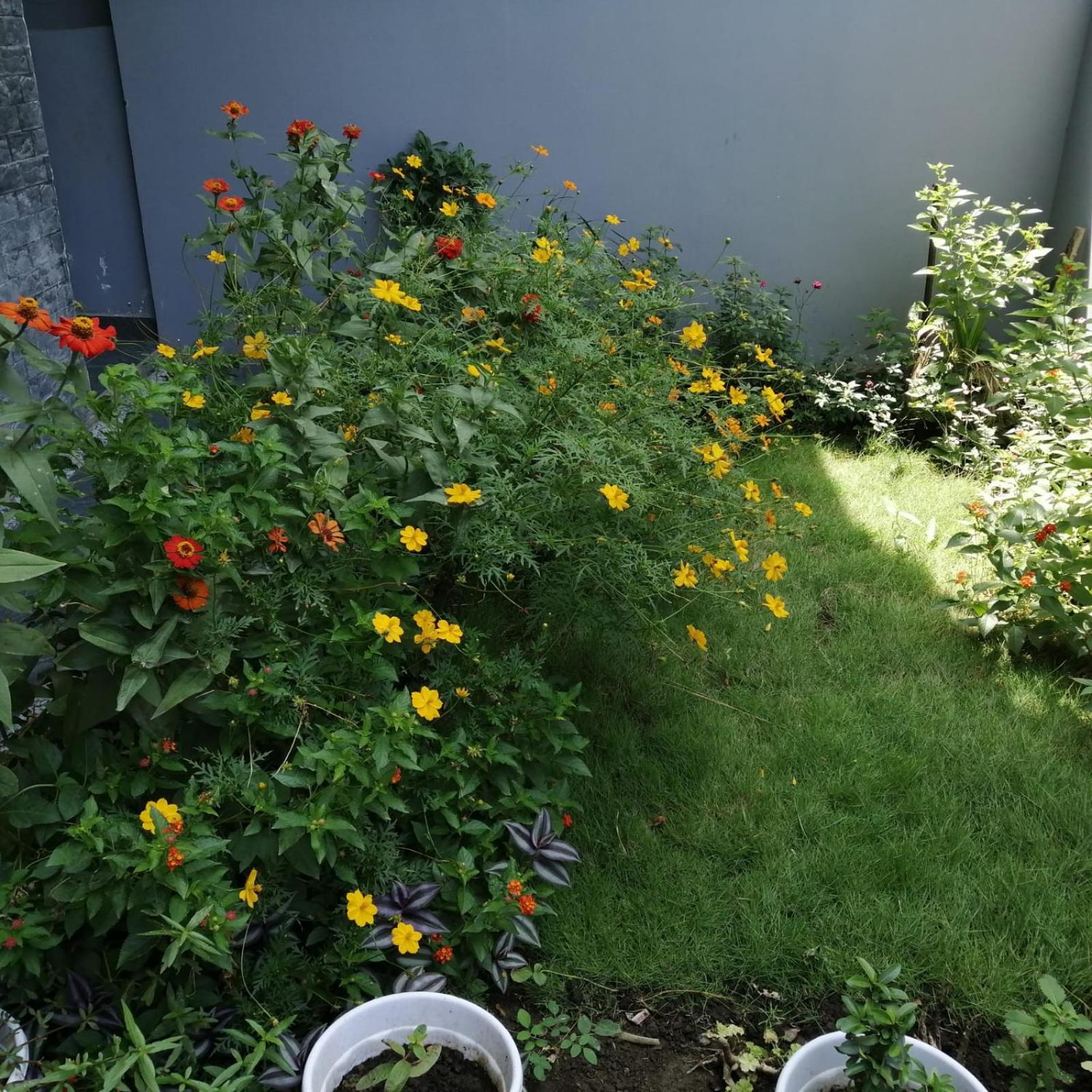 Aashiyana Home Stay بوبال المظهر الخارجي الصورة